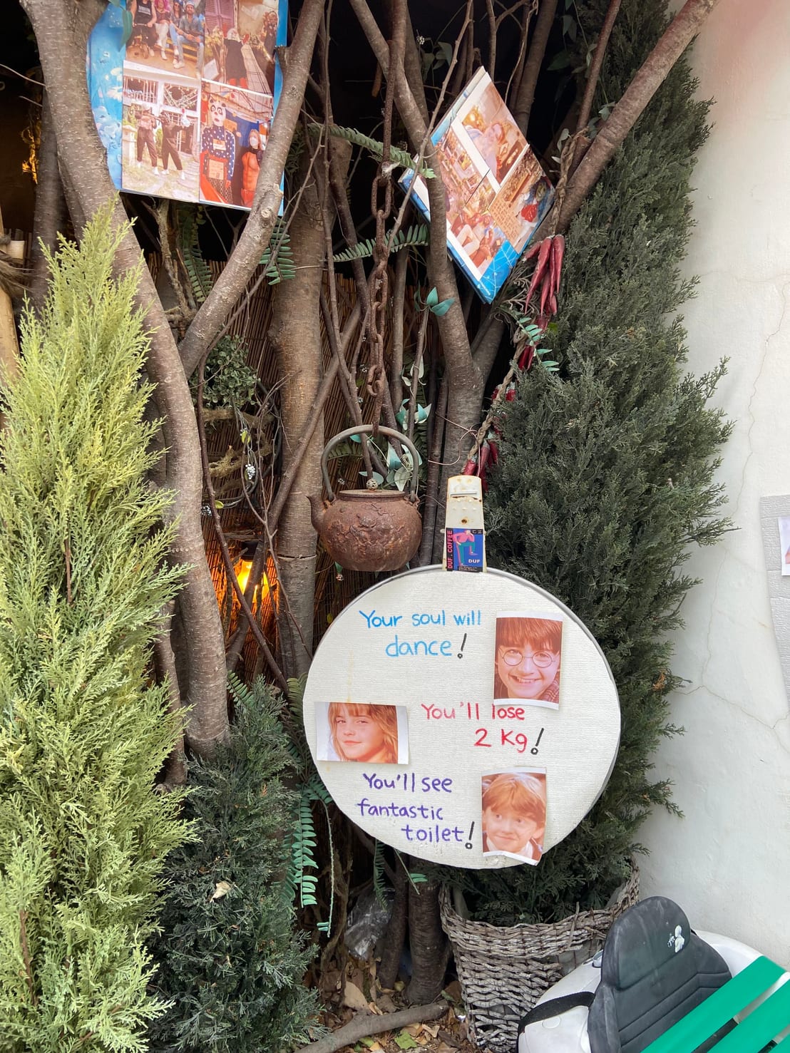 Whimsical cafe decor tucked into a tree, with handwritten signs and old photos