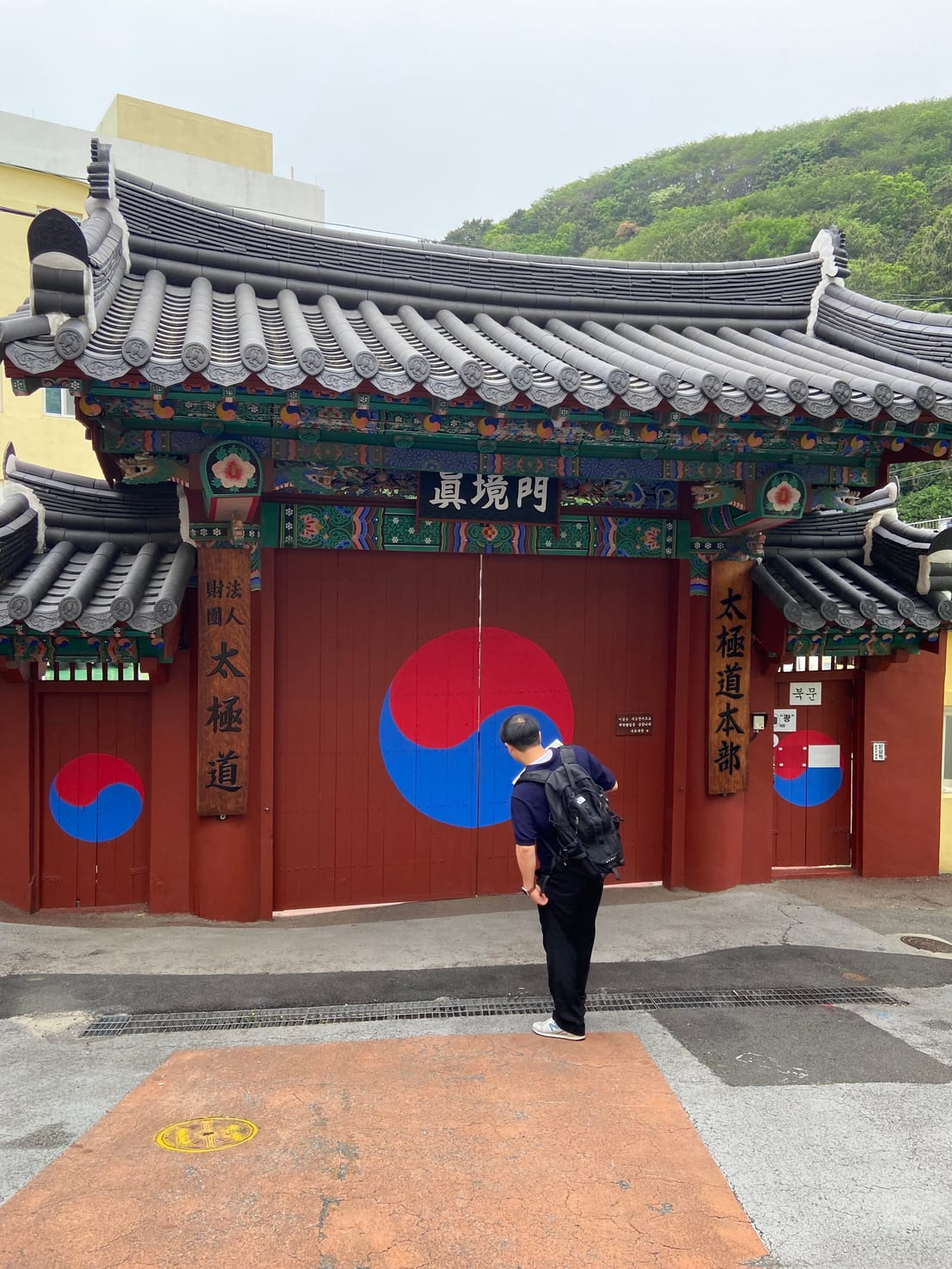 A traditional Korean gate with red doors painted with taegeuk symbols, set against a green hillside