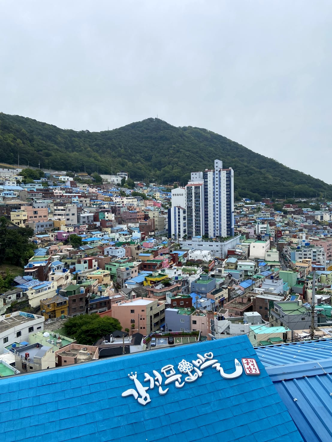 Gamcheon Culture Village: Busan's Colorful Hillside Maze