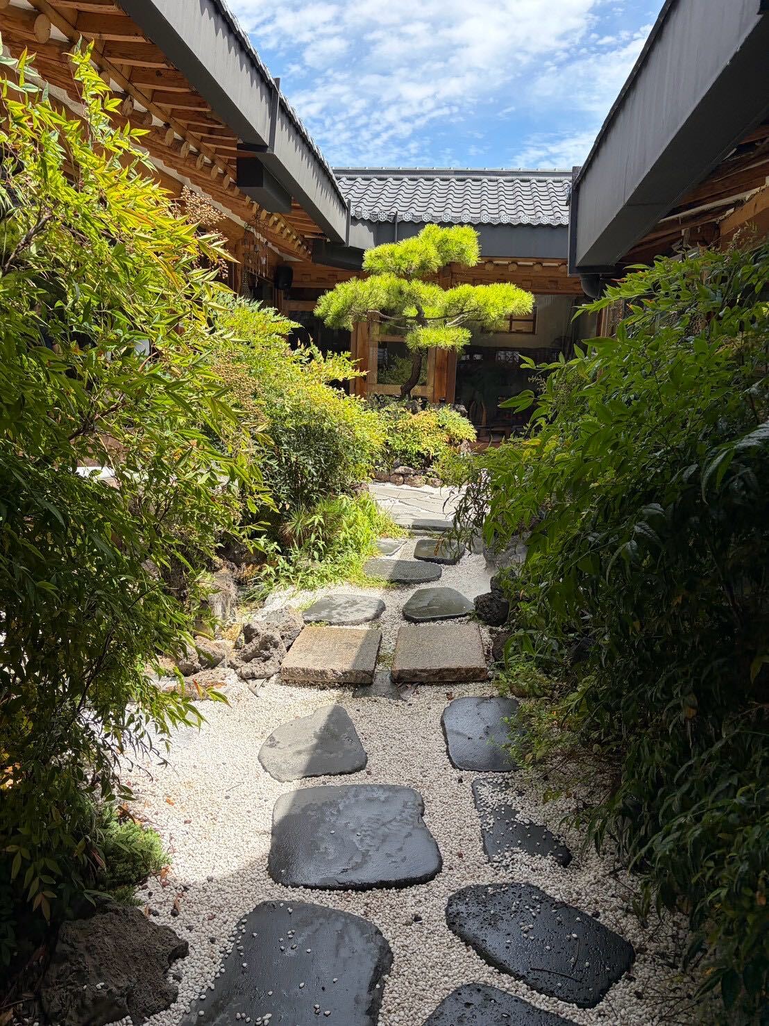 A stone garden path lined with greenery leading into a hanok cafe