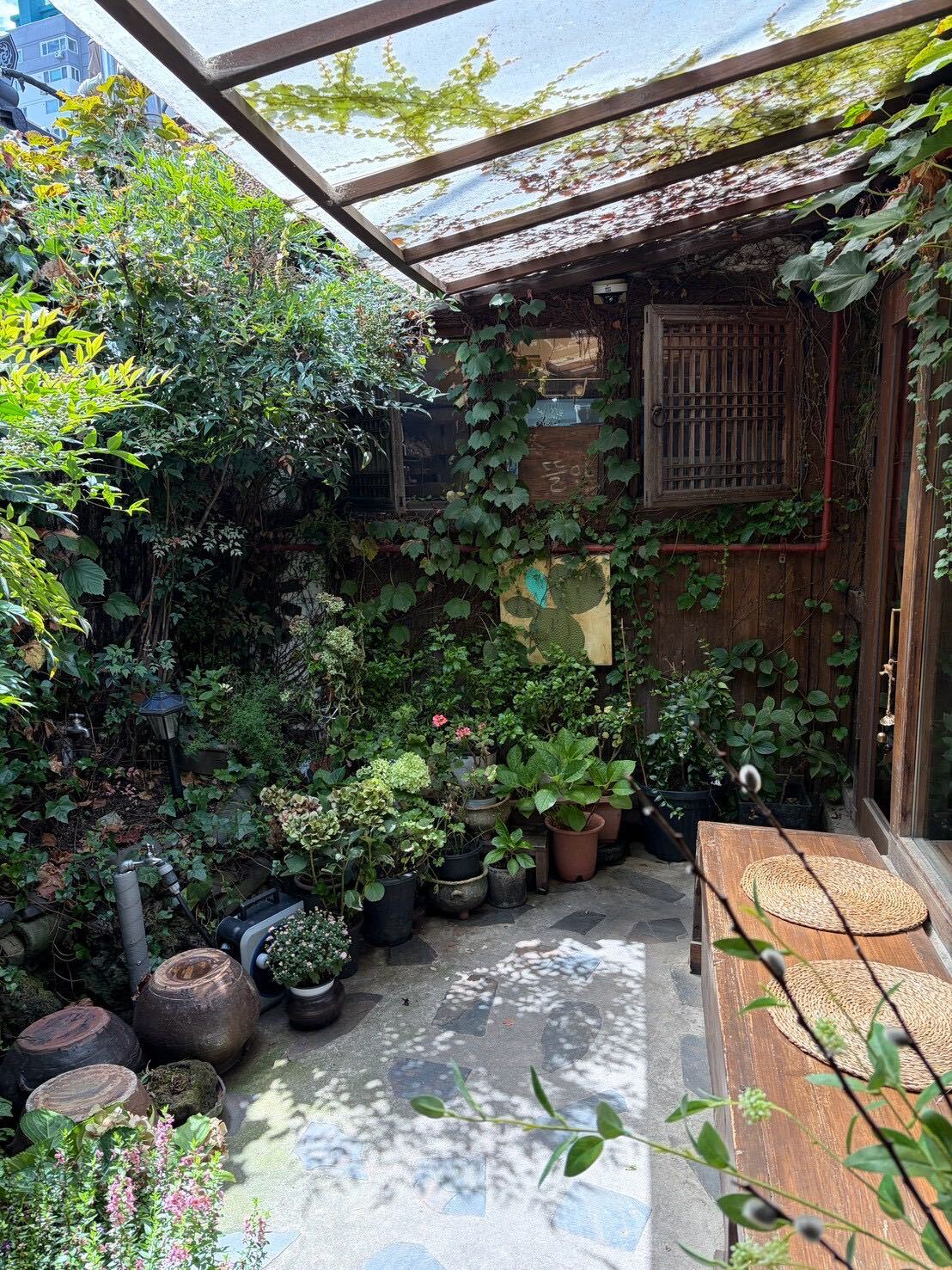A small plant-filled courtyard at Tteuran