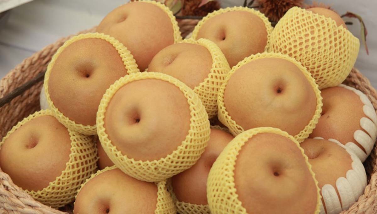 Korean Gift-Giving Culture: What to Give, When & What to Avoid