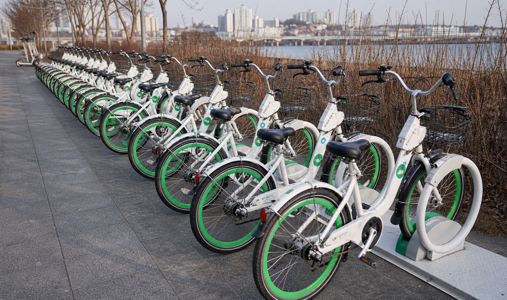 A row of Ttareungyi rental bikes docked along the Han River